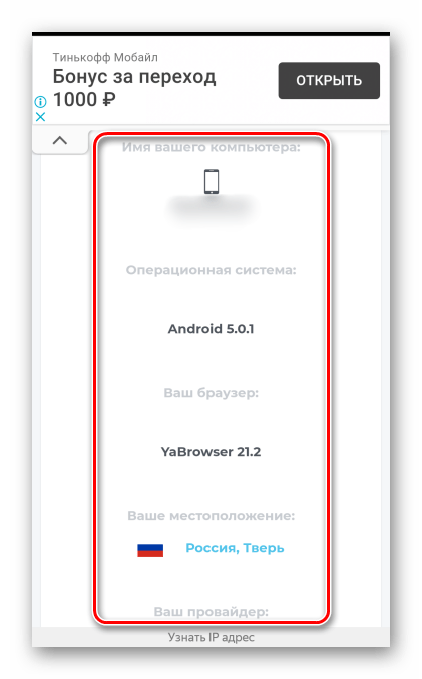 Отображение дополнительной информации об устройстве в сервисе 2ip.ru