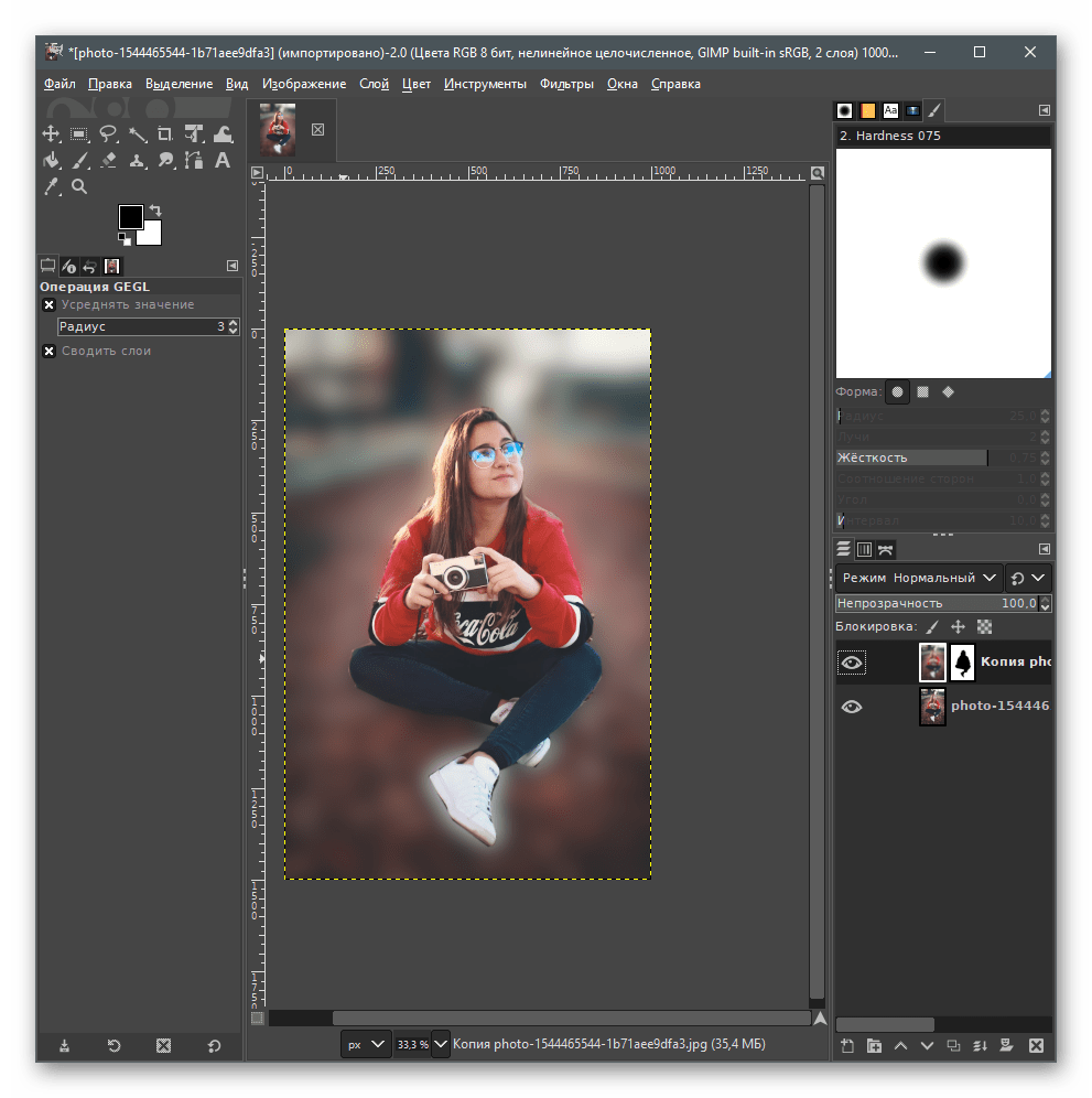 Ознакомление с результатом для размытия заднего фона на фото в GIMP