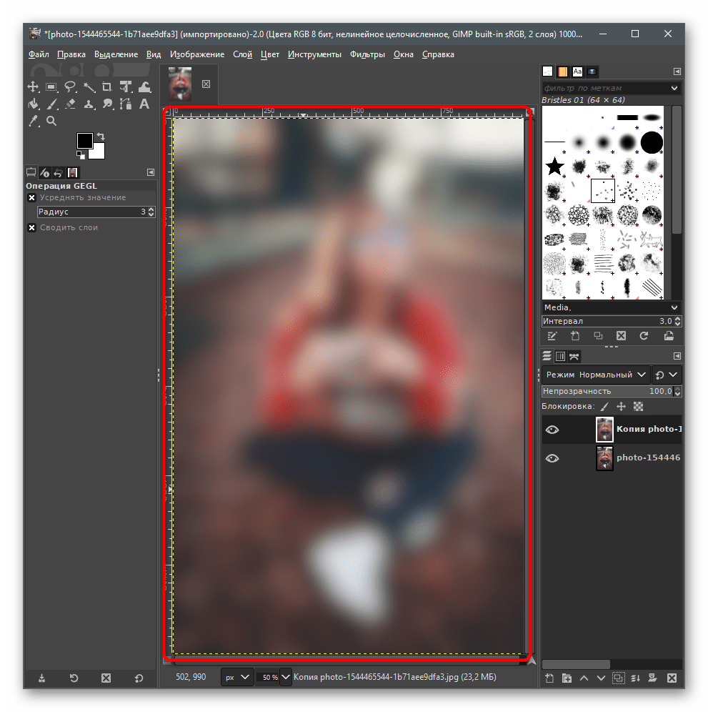 Проверка результата выбранного фильтра для размытия заднего фона на фото в GIMP