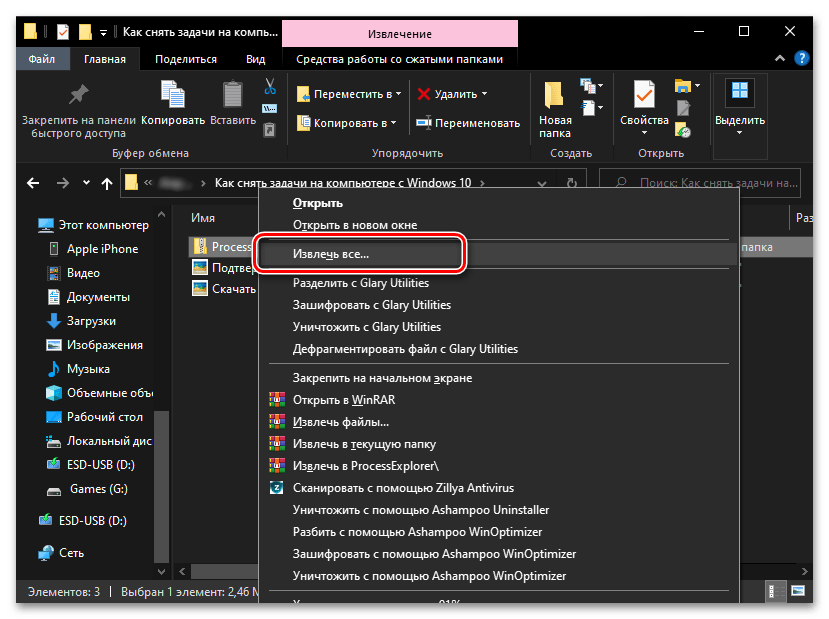 Распаковать архив с Process Explorer - альтернативный Диспетчер задач для Windows 10