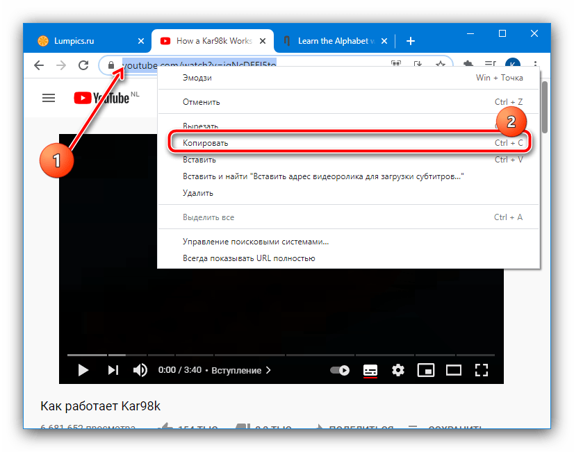 Скопировать адрес видеоролика для загрузки субтитров с YouTube посредством веб-сервиса