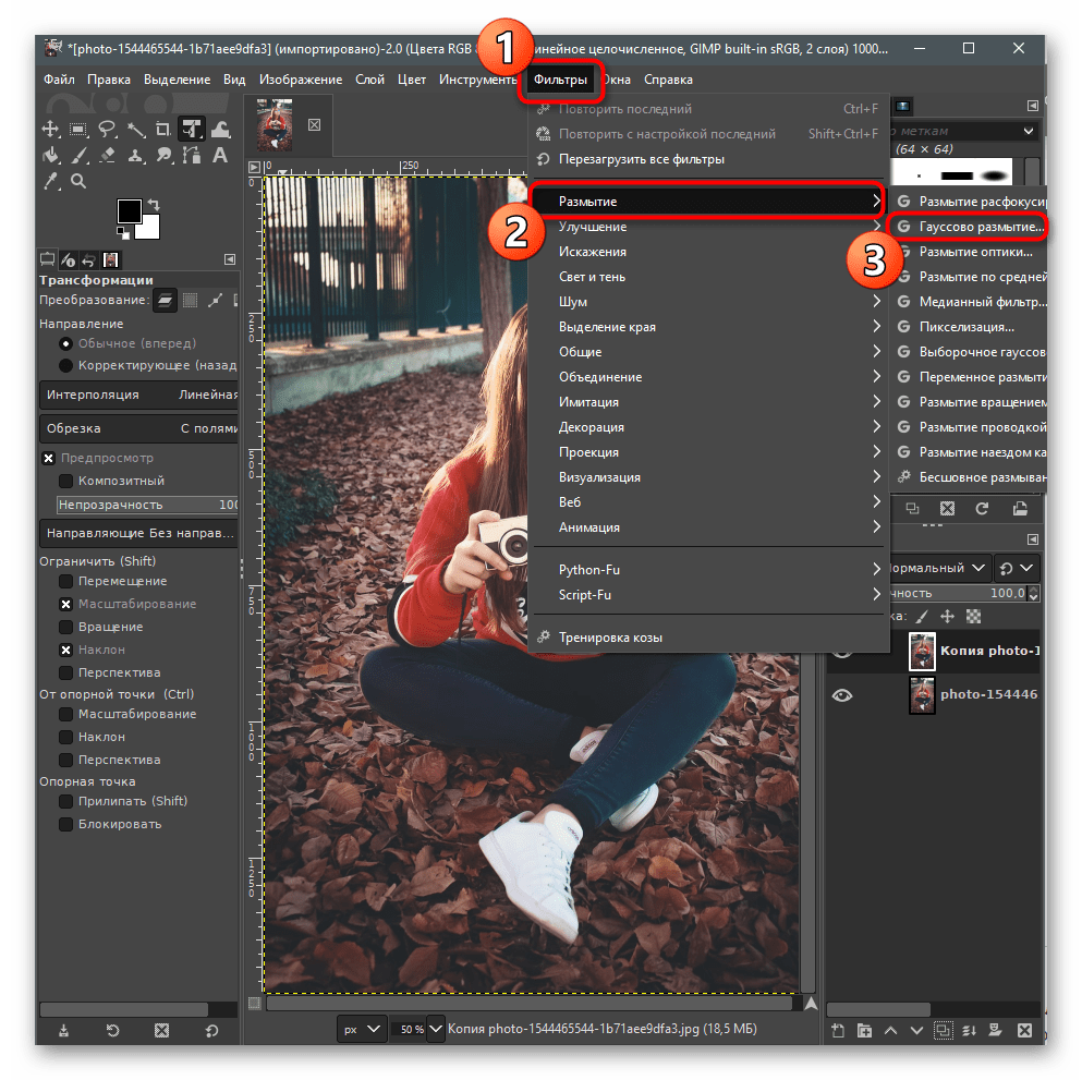 Выбор соответствующего фильтра для размытия заднего фона на фото в GIMP