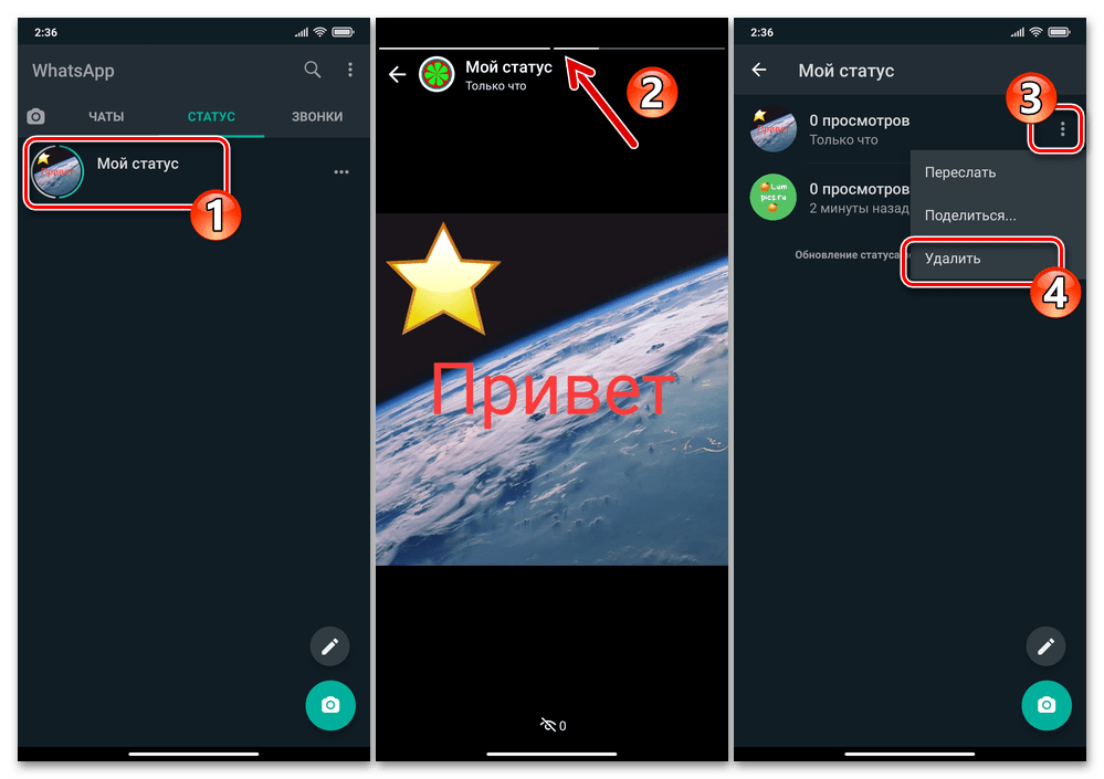 WhatsApp для Android просмотр и удаление своих графических статусов в мессенджере