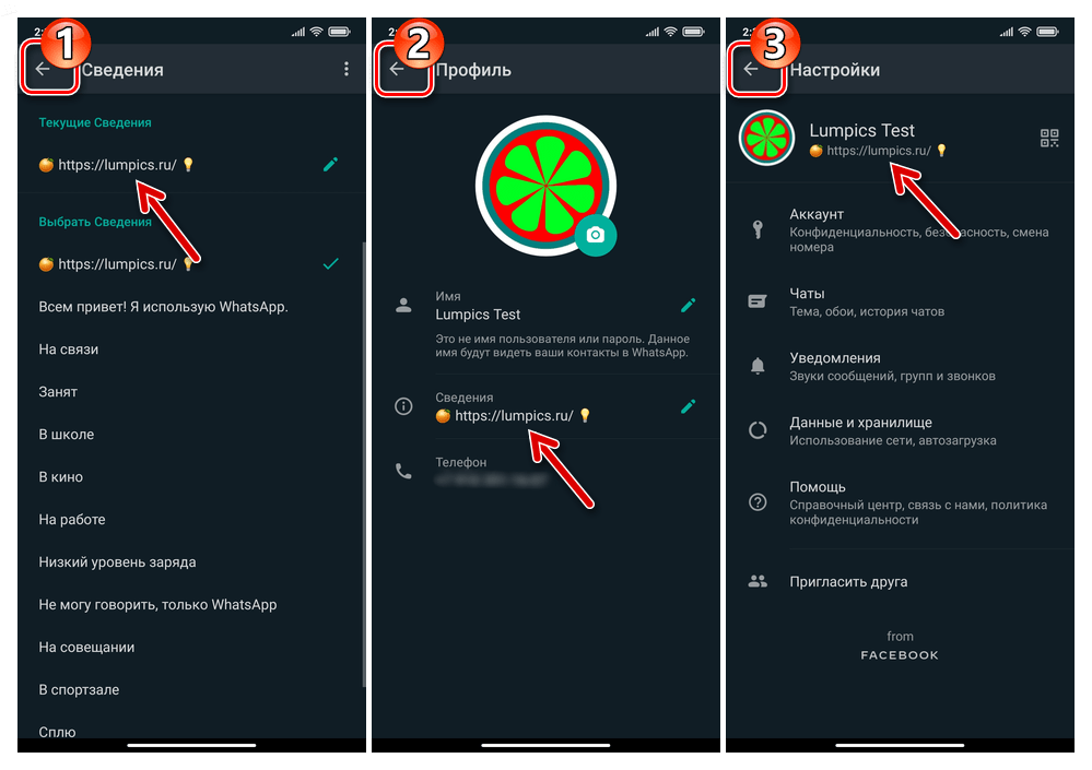 WhatsApp для Android - выход из Настроек мессенджера после замены текстового статуса