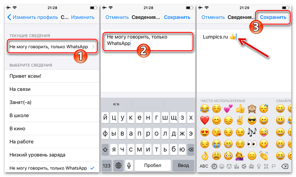 WhatsApp для iPhone - ввод и сохранение собственного текстового статуса в системе в настройках мессенджера