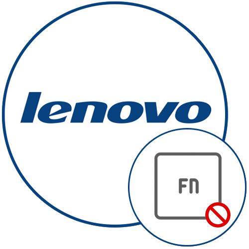 Как отключить Fn на ноутбуке Lenovo