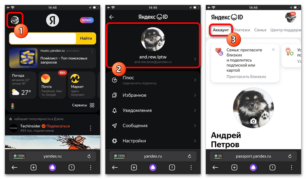 Как удалить историю в Яндексе на Айфоне_014