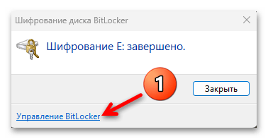 Как включить BitLocker в Windows 11 45
