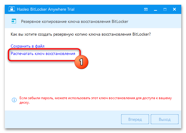 Как включить BitLocker в Windows 11 74