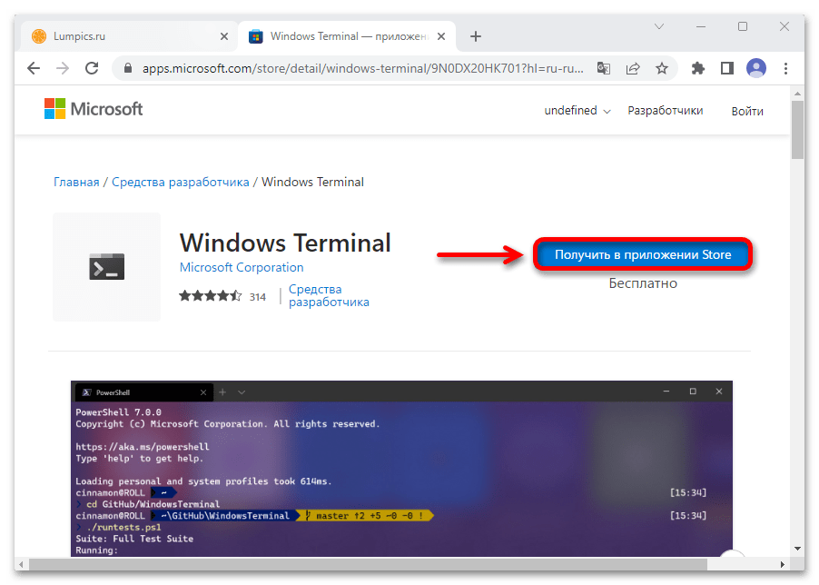 Не удается найти wt.exe в windows 11_006