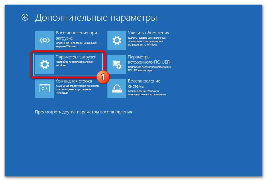 Расширенные параметры запуска в Windows 11 52