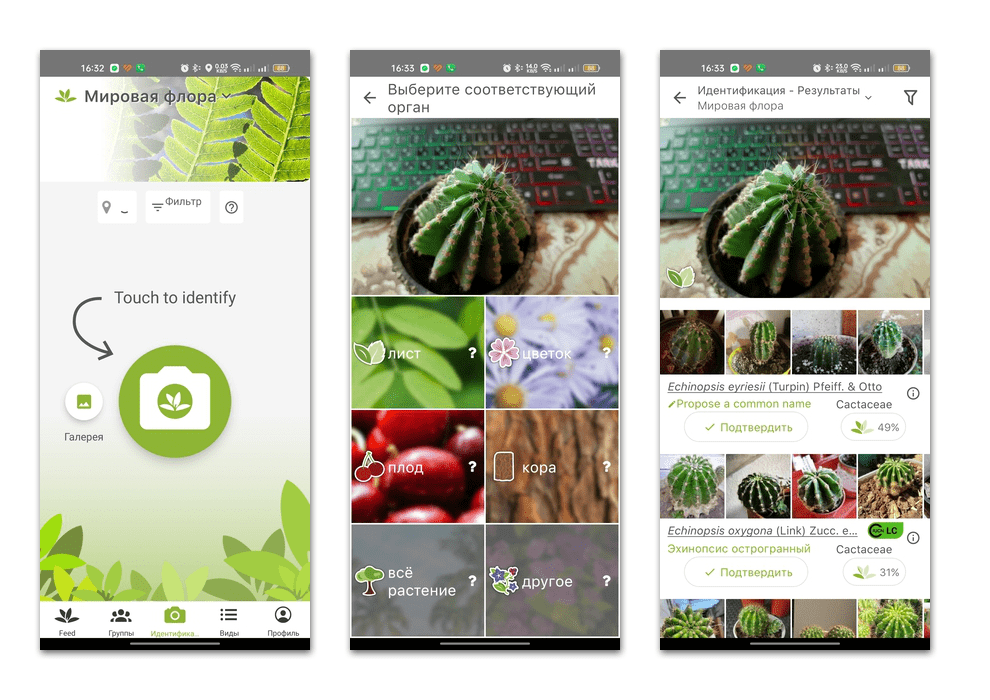 программа для распознавания растений по фото для андроид-01