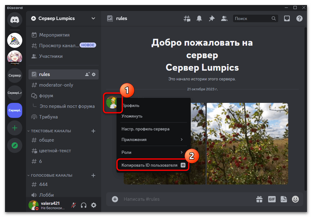 Как скопировать ID в Дискорде-02