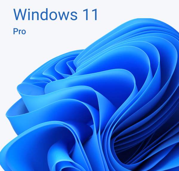 Windows 11 Pro (Профессиональная)