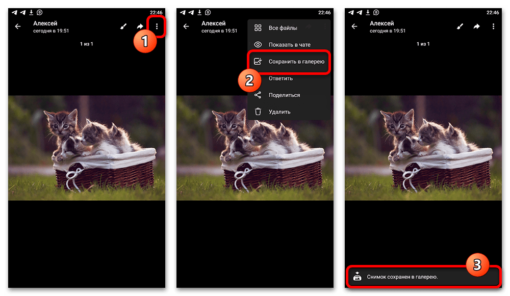 Как сохранить фото из Телеграмма в галерею_002