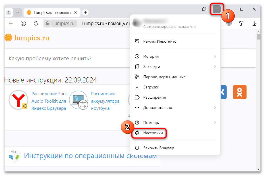 как настроить алису в яндекс браузере-03