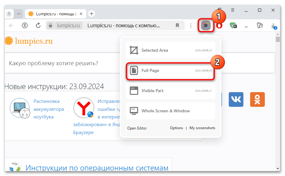 как сделать длинный скриншот в яндекс браузере-14