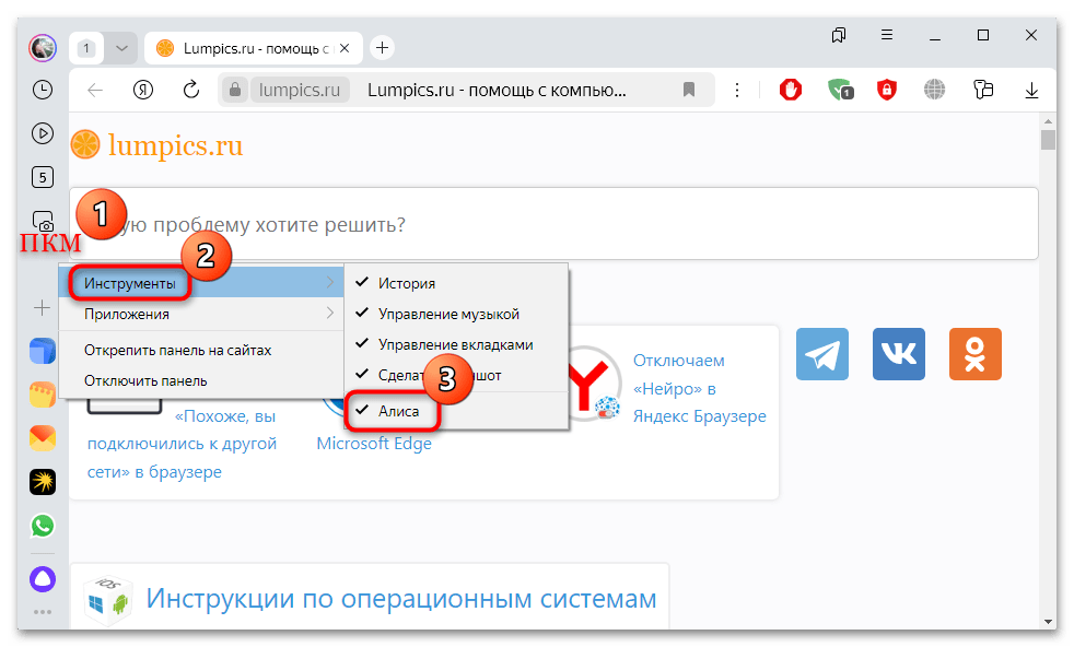как удалить алису из яндекс браузера навсегда-03