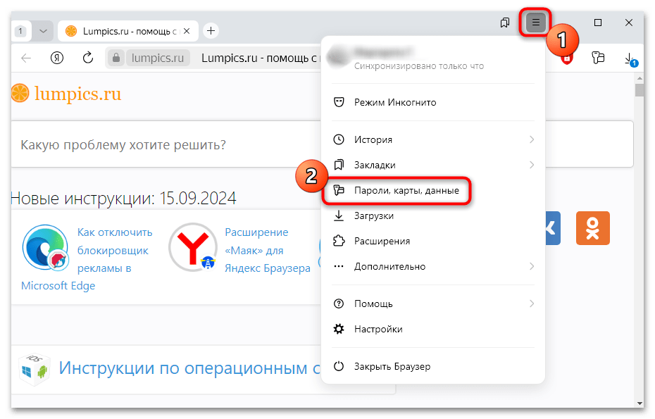 не сохраняются пароли и логины в яндекс браузере-01