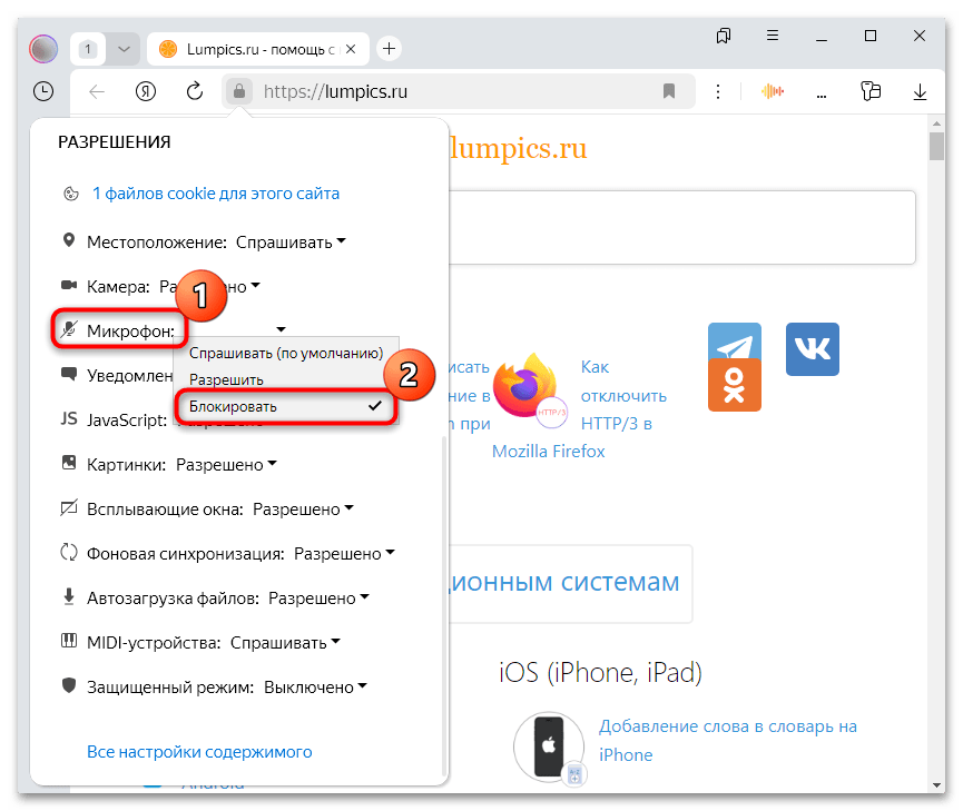 как отключить микрофон в яндекс браузере-03