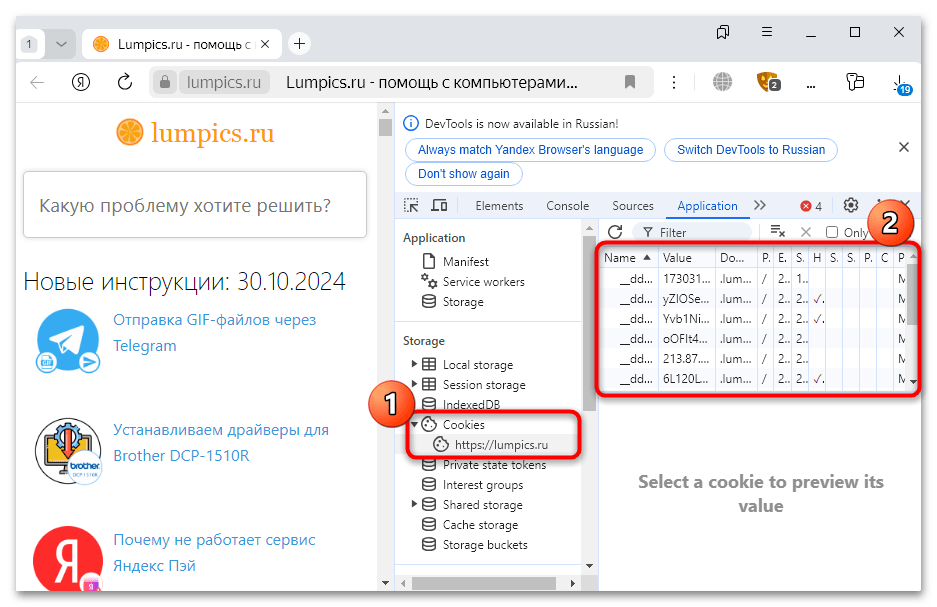 как посмотреть файлы куки в яндекс браузере-12
