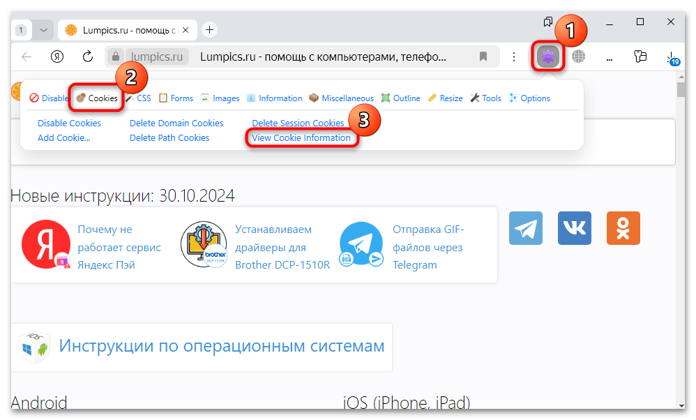 как посмотреть файлы куки в яндекс браузере-15