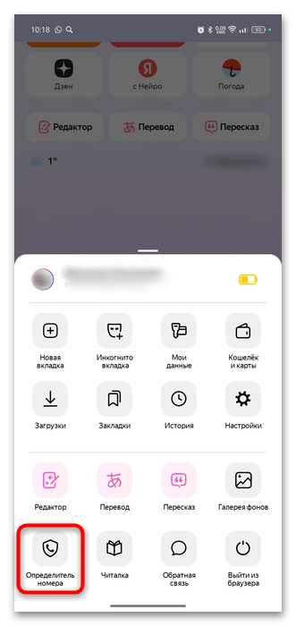 как включить определитель номера в яндекс браузере-02