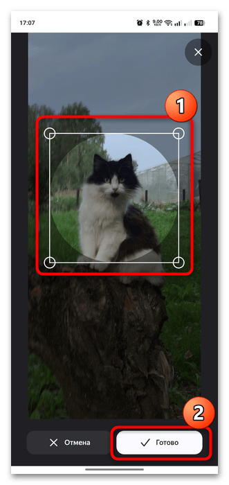 как поменять аватар в яндекс почте-11