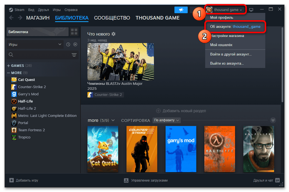 Как узнать свой логин в Стим_004