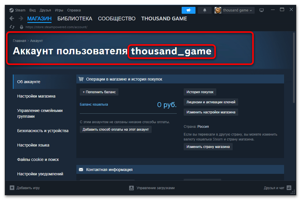 Как узнать свой логин в Стим_005