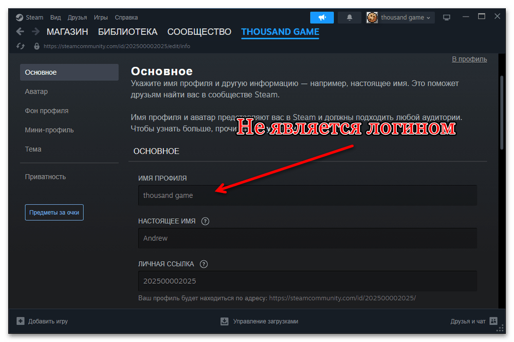 Как узнать свой логин в Стим_006