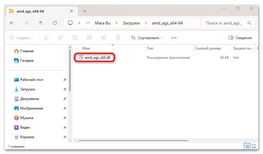 Система не обнаружила amd_ags_x64.dll скачать файл-08