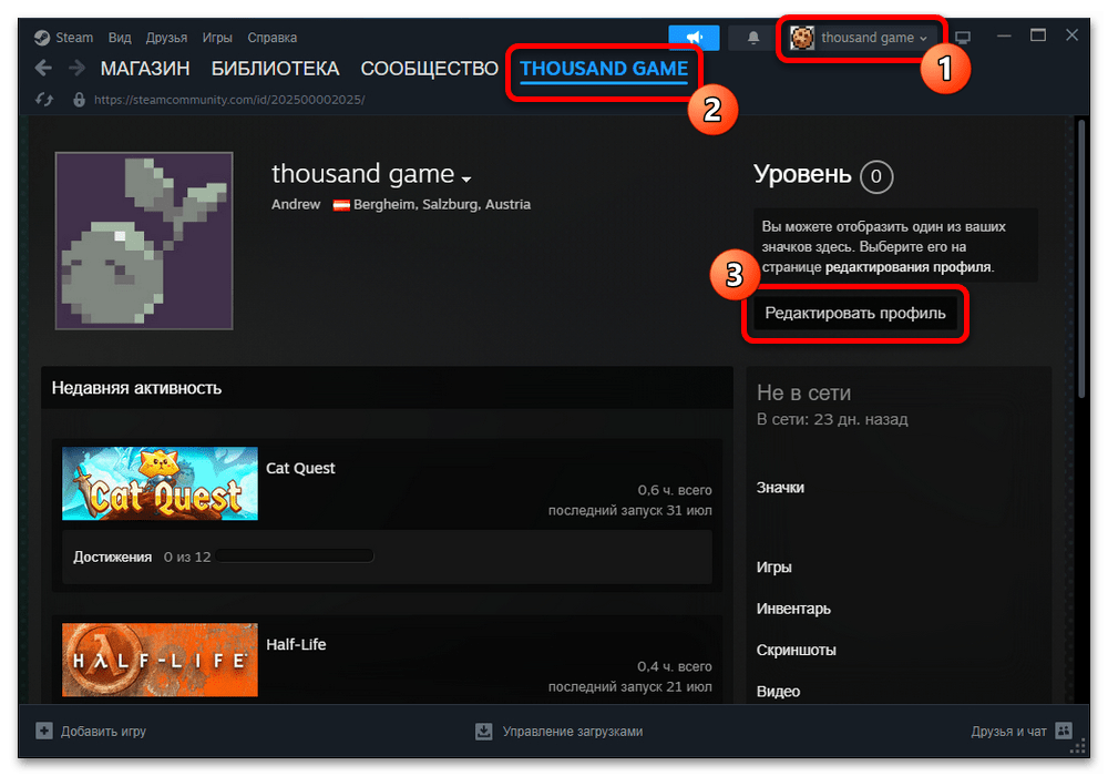Как убрать недавнюю активность в Стиме_001