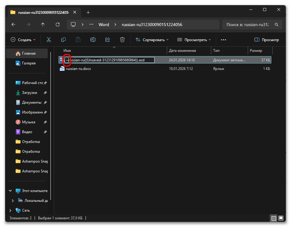 Как открыть ASD-файл Ворд-20